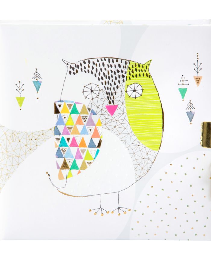 Doodle Owl Lockable Journal