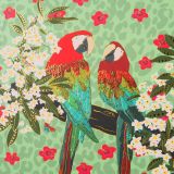 82764232_notebook_parrots-scaled-1.jpeg