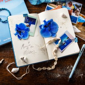 Blue Lagoon Notebook